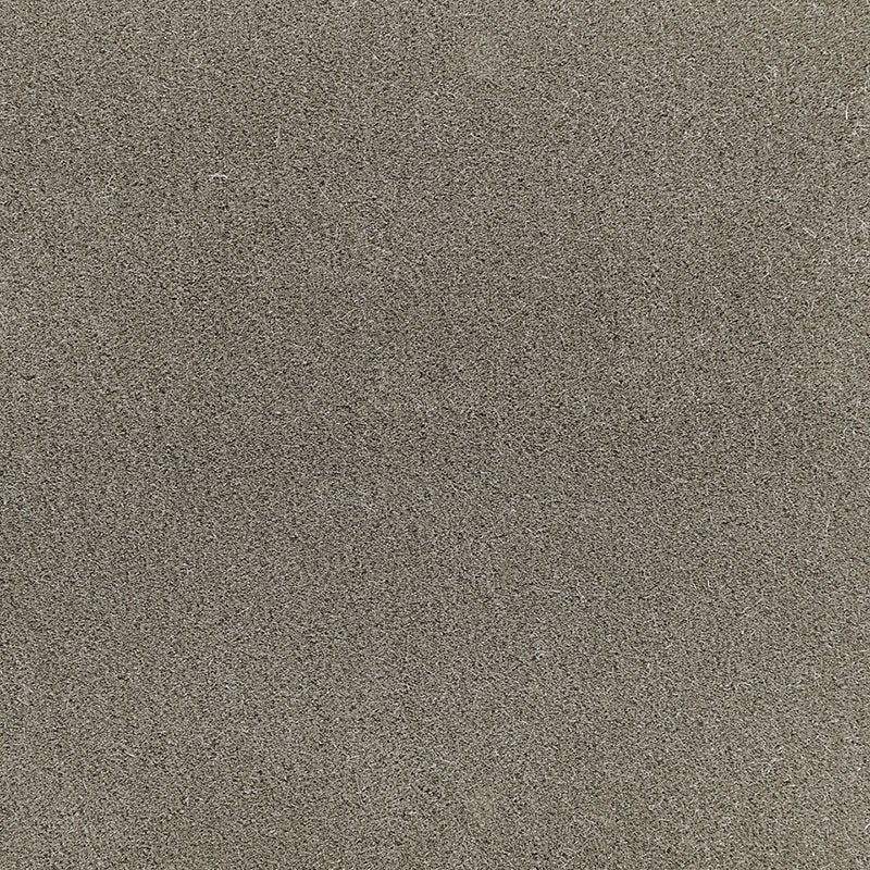 SAN CARLO MOHAIR VELVET MOLESKIN