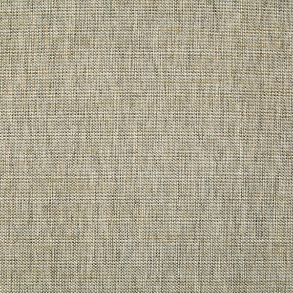 Pindler 7232 BECK-BIRCH Fabric | Atlanta Fabrics