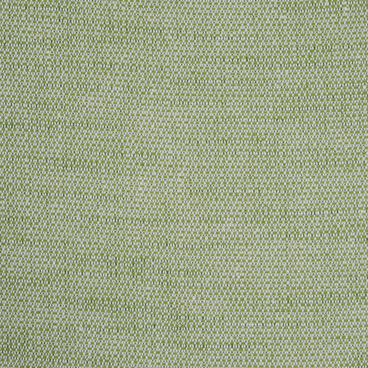 CAMARILLO WEAVE INDOOR/OUTDOOR LEAF