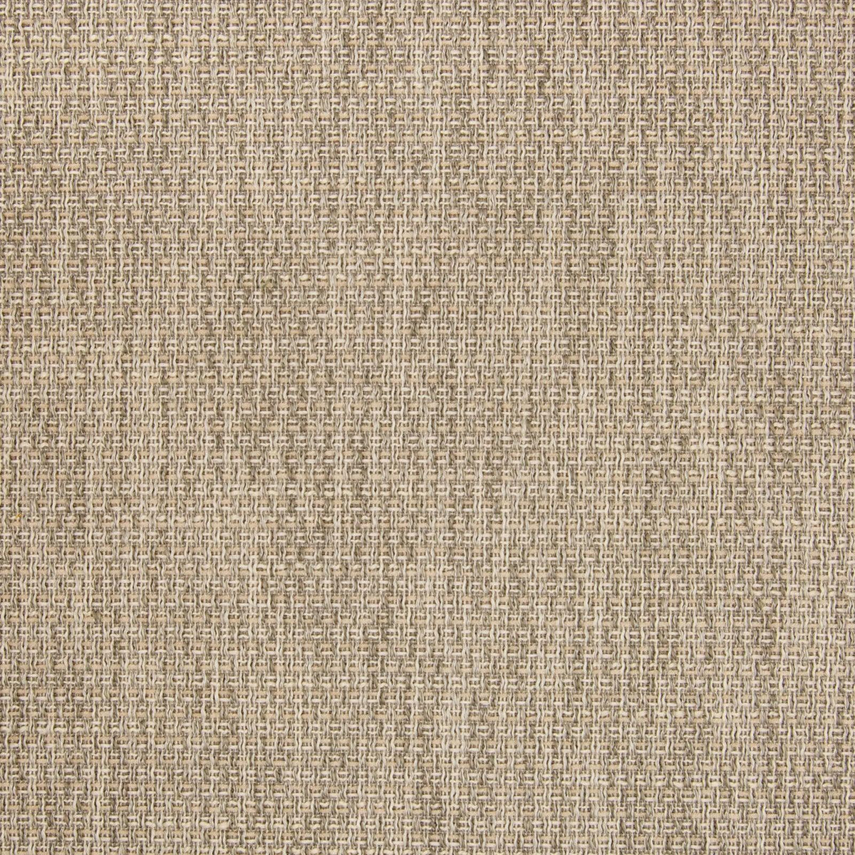 B5409 Gainsboro - Atlanta Fabrics