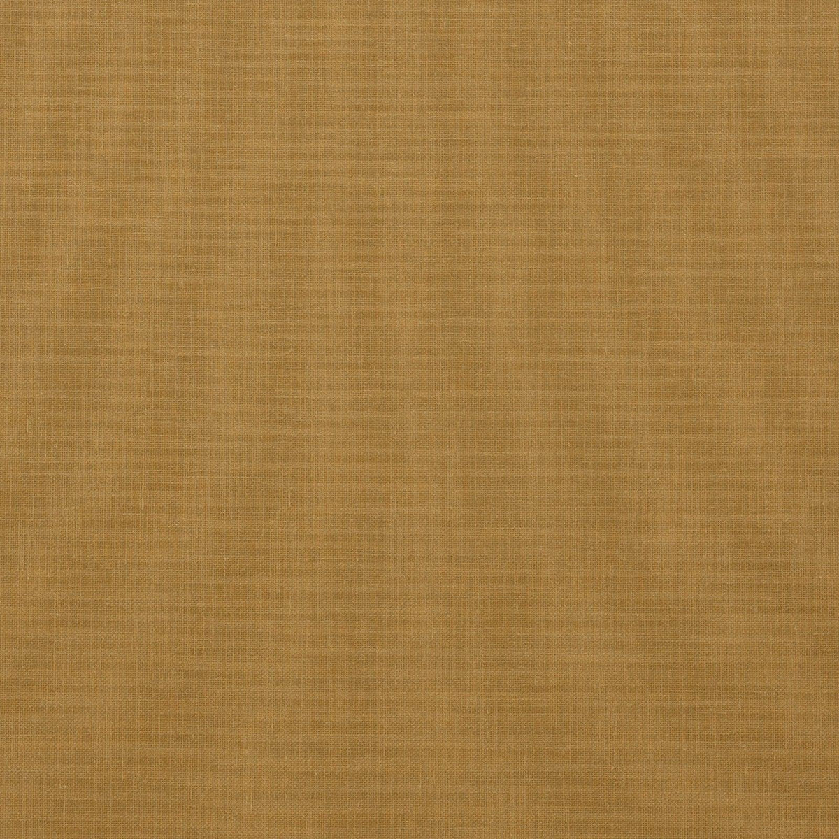 Berber-Gold - Atlanta Fabrics