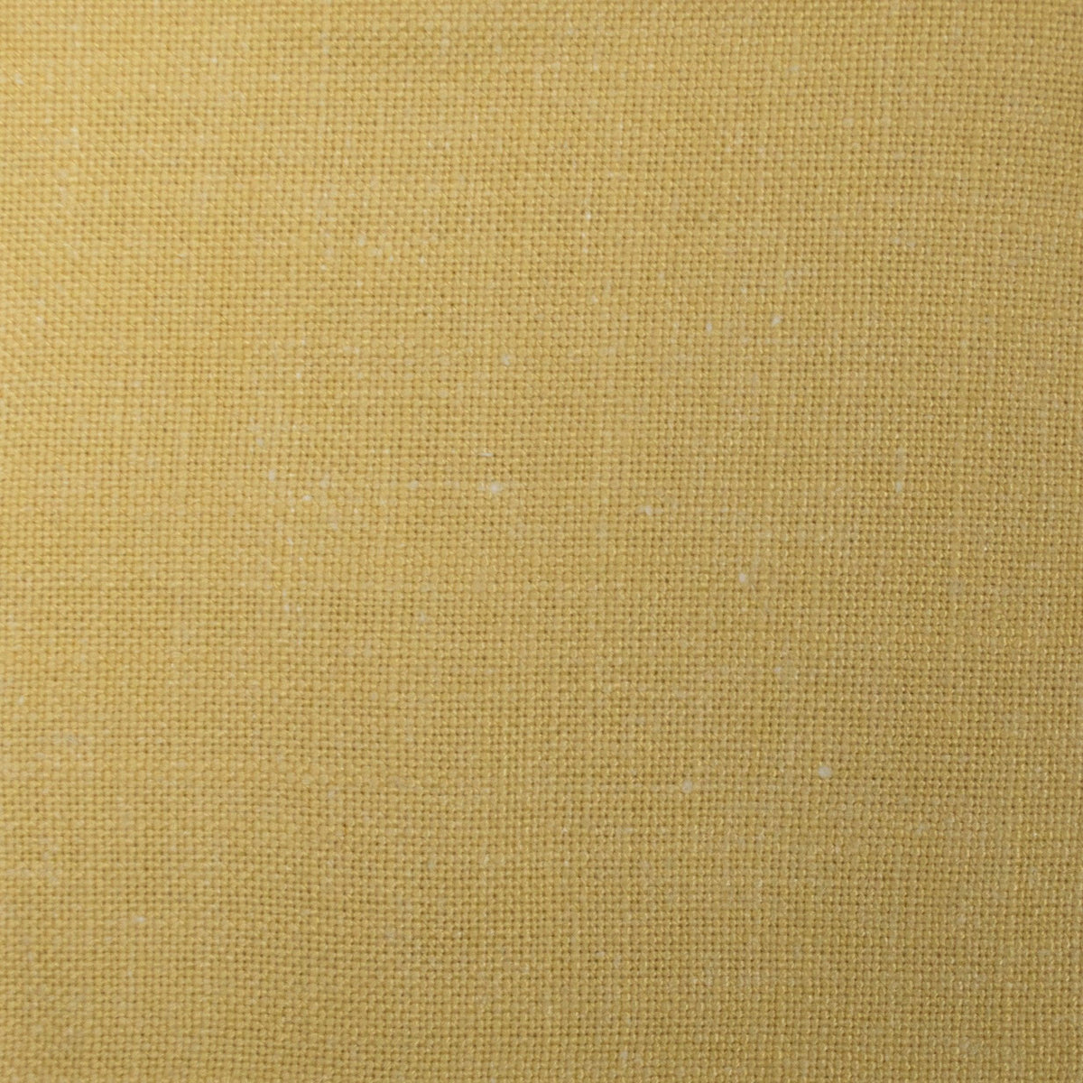 Caicos-Mustard - Atlanta Fabrics