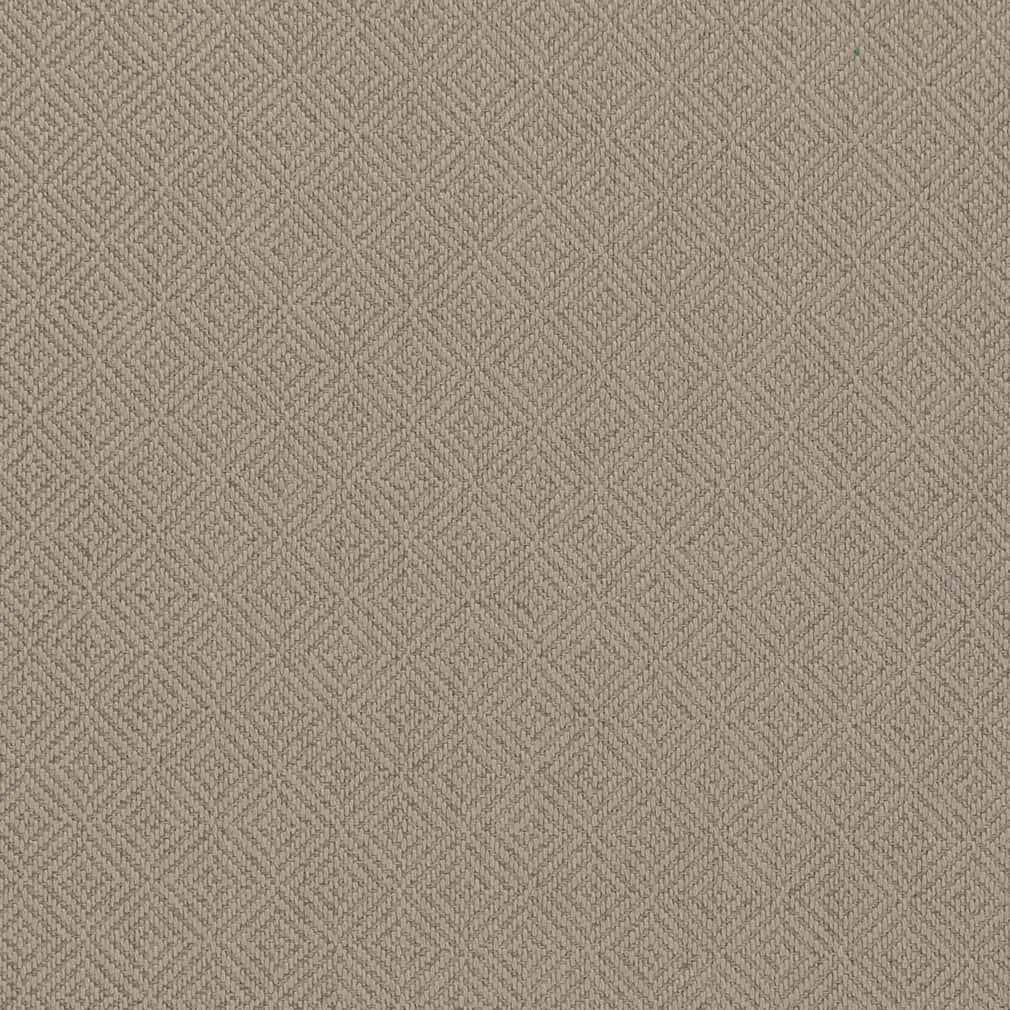 Charlotte Fabrics CB800-408 Fabric | Atlanta Fabrics