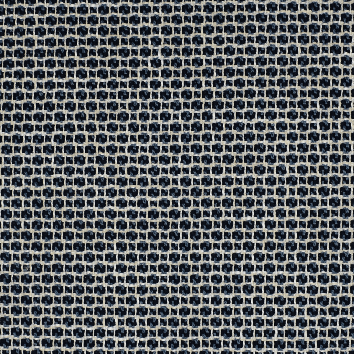 Checkered Past F2302 Indigo - Atlanta Fabrics