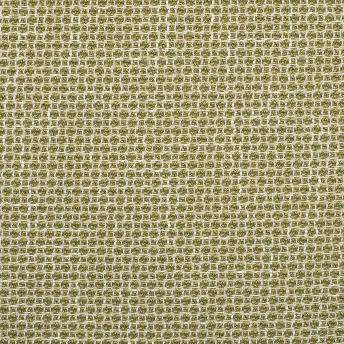 Checkered Past F2353 Cactus - Atlanta Fabrics