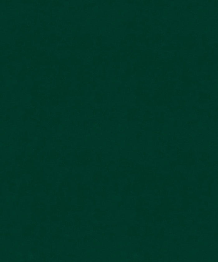 COUNTERPOINT 42109 - Atlanta Fabrics