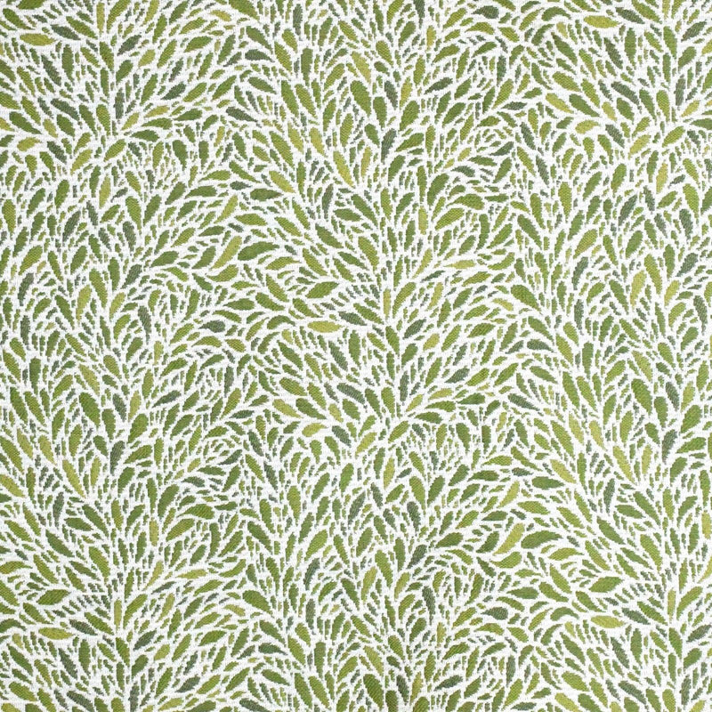 Creeping Thyme S4165 Leaf - Atlanta Fabrics