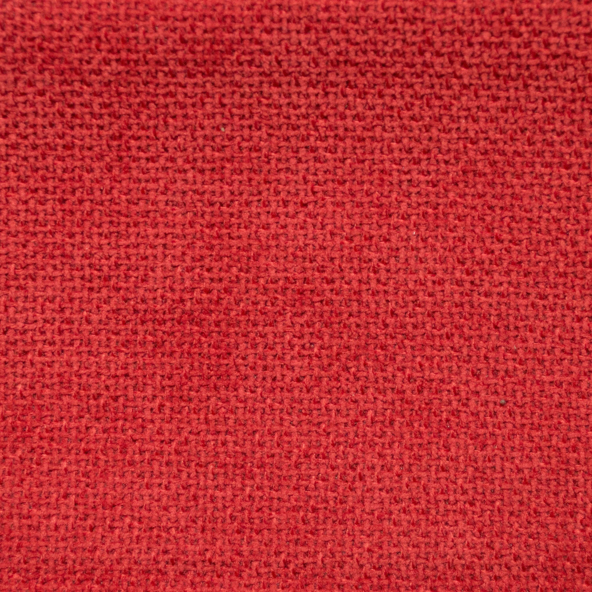 Cuddle-Coral - Atlanta Fabrics