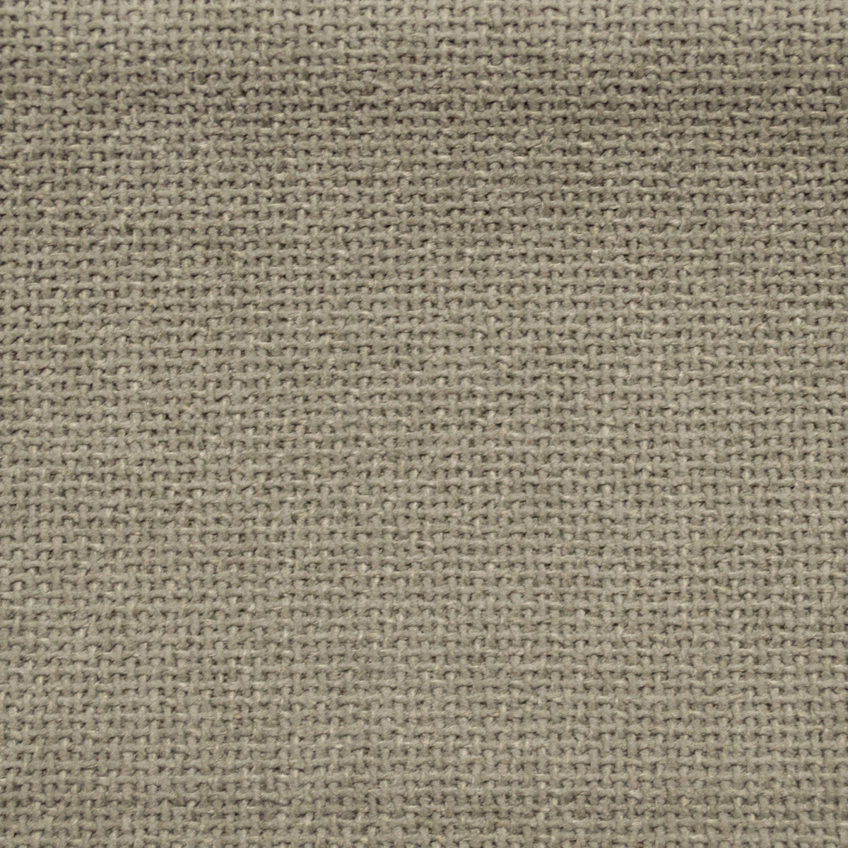 Cuddle-Gray - Atlanta Fabrics