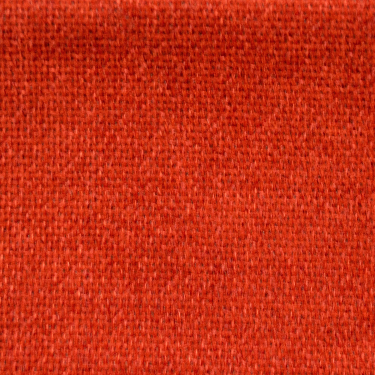 Cuddle-Spice - Atlanta Fabrics