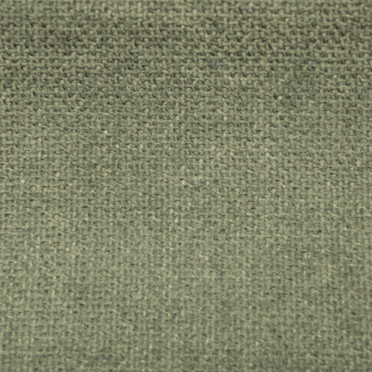 Cuddle-Spinach - Atlanta Fabrics