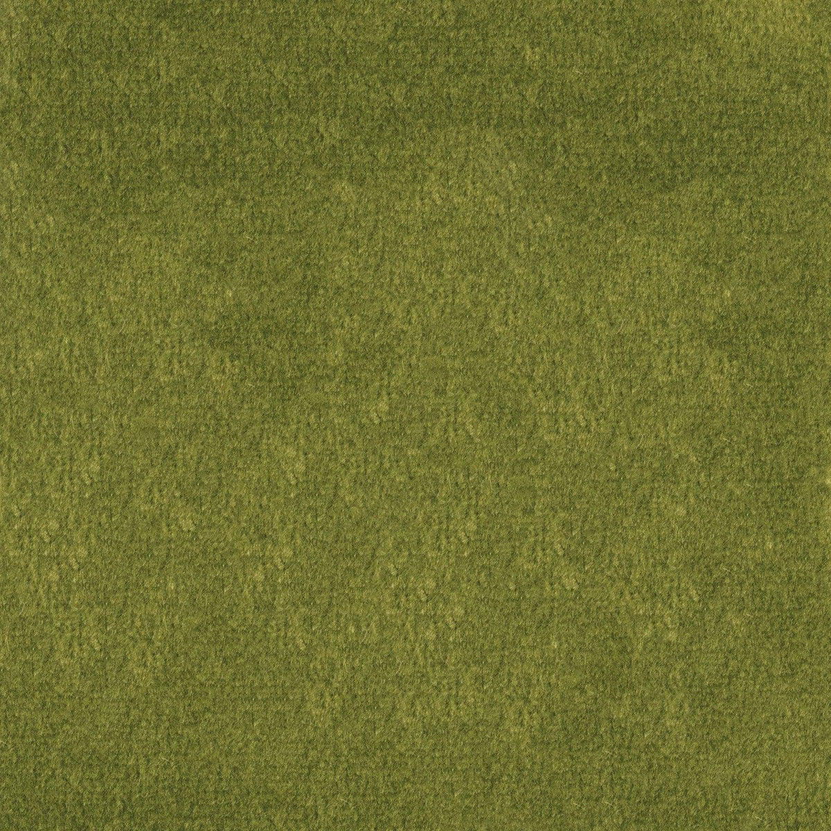 Greenhouse F1837 Fabric | Atlanta Fabrics
