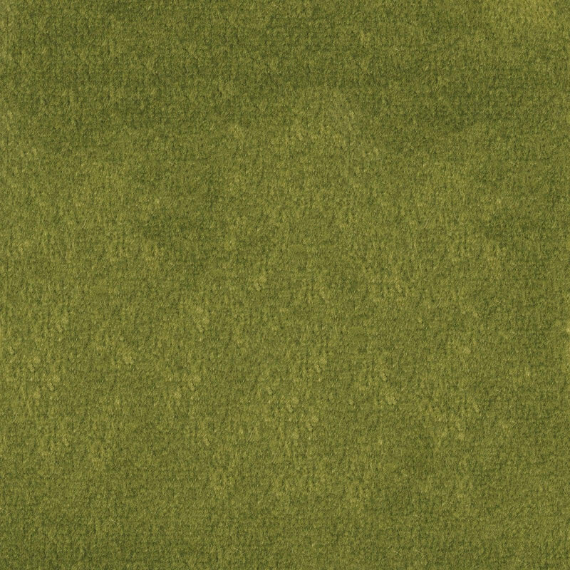 Greenhouse F1837 Fabric | Atlanta Fabrics
