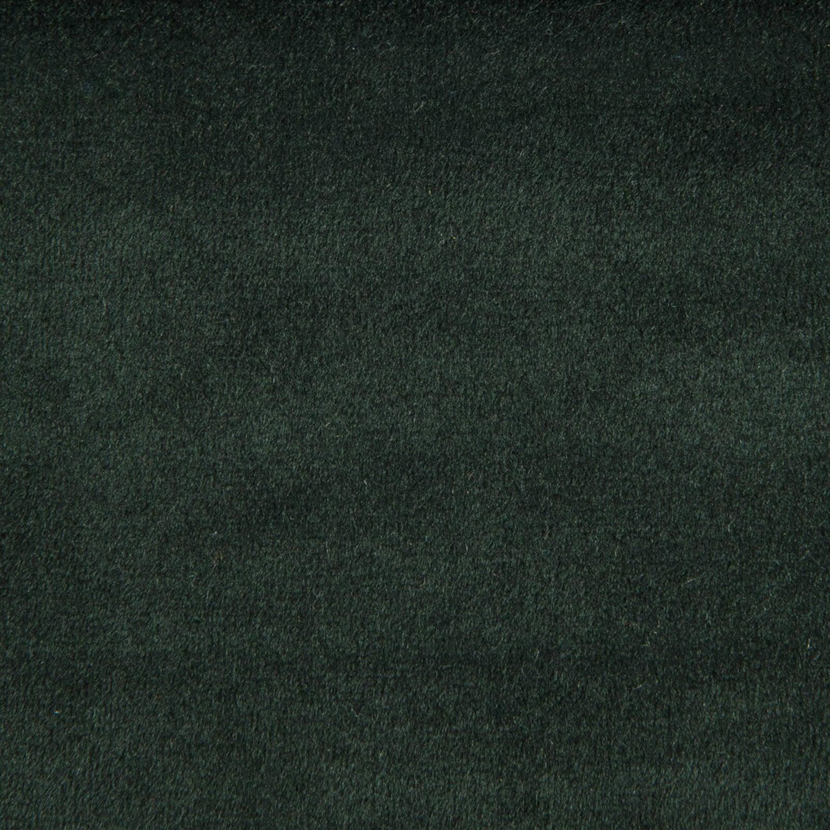 Greenhouse F1842 Fabric | Atlanta Fabrics