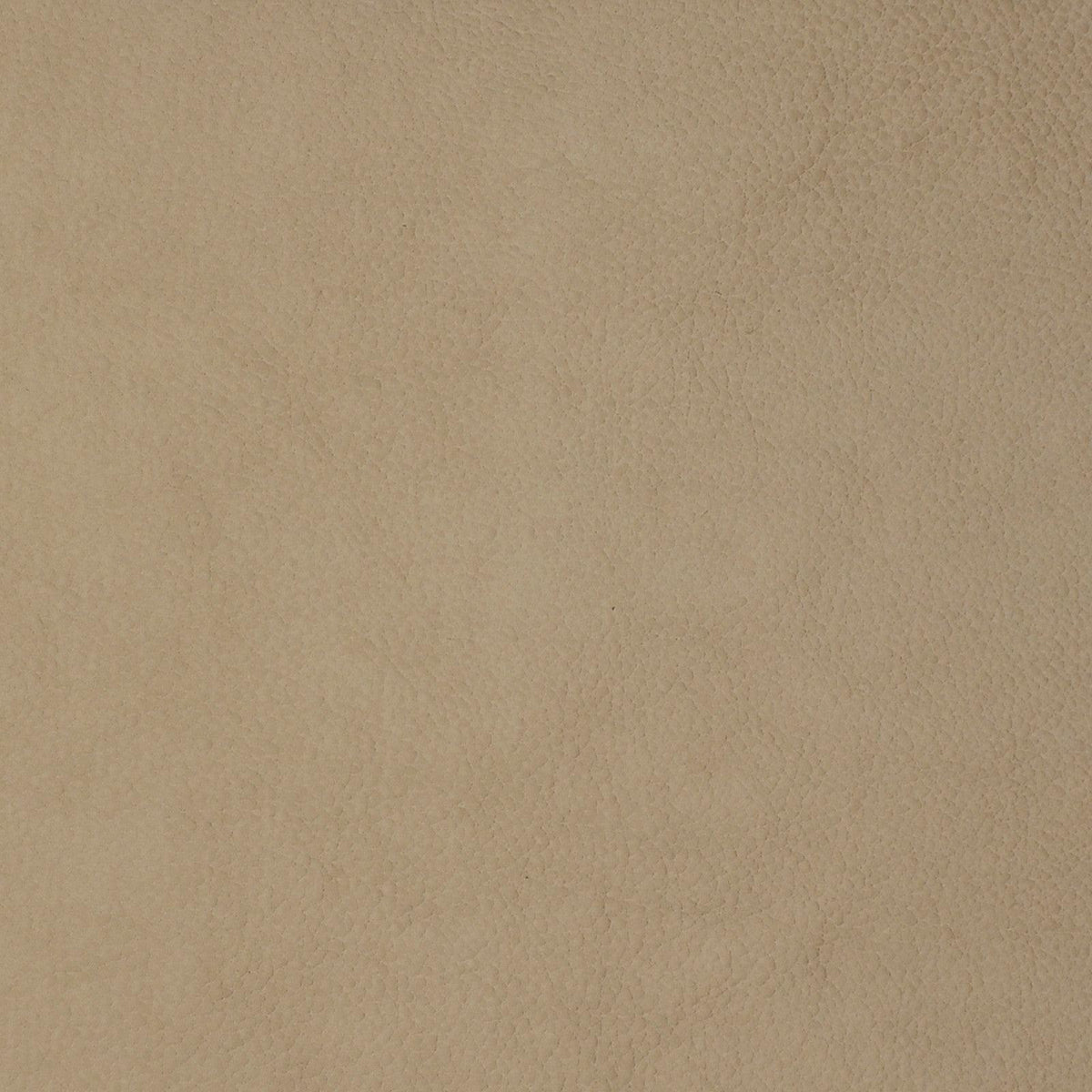 Greenhouse F1856 Fabric | Atlanta Fabrics
