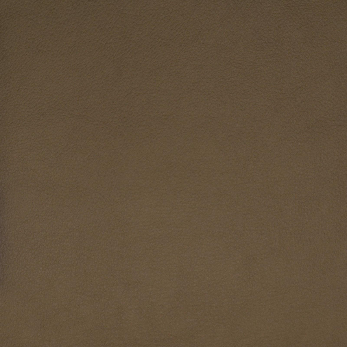 Greenhouse F1859 Fabric | Atlanta Fabrics