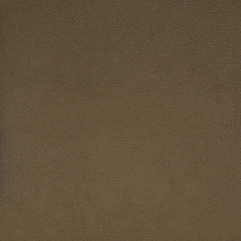 Greenhouse F1859 Fabric | Atlanta Fabrics