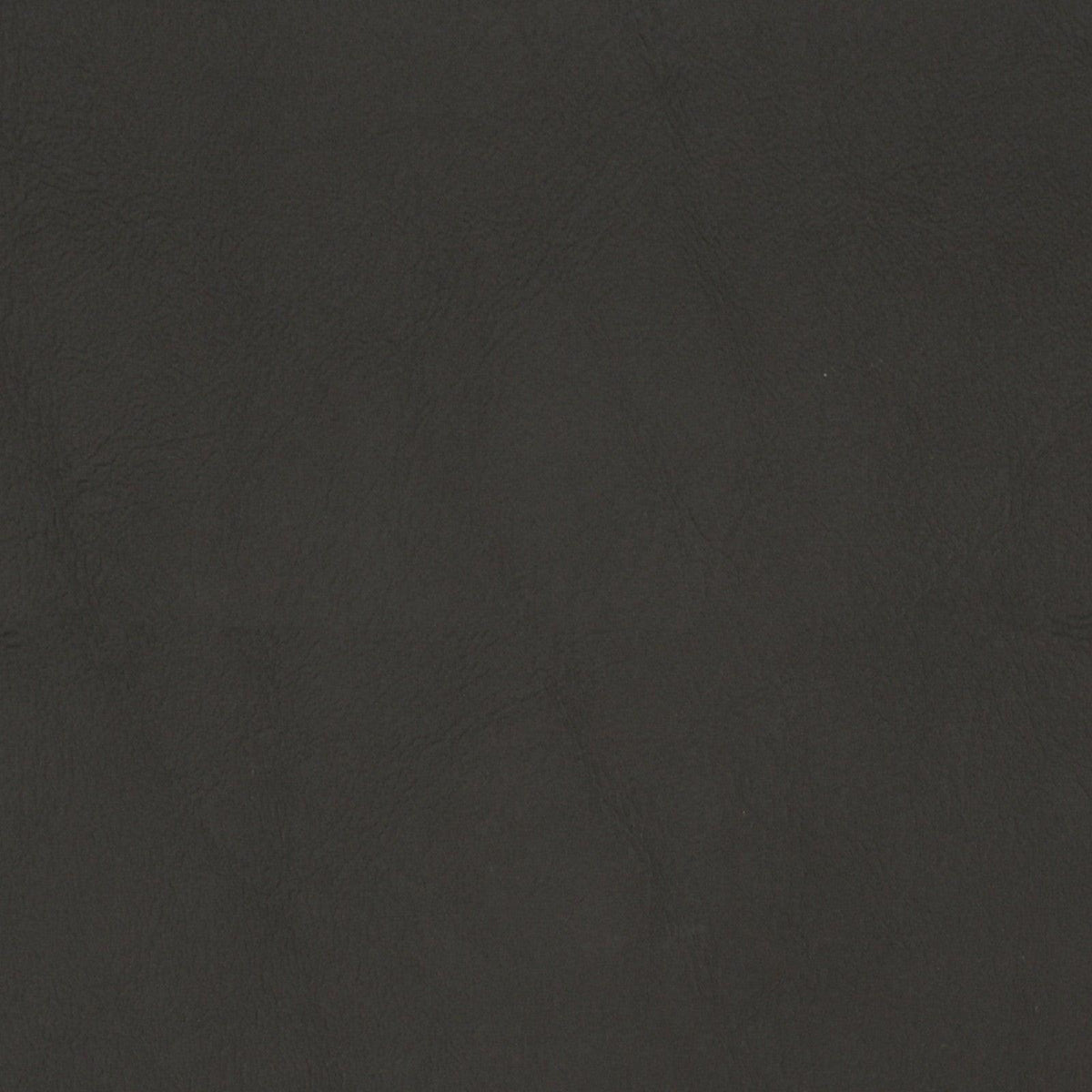 F1881 - Atlanta Fabrics