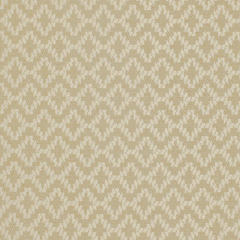 Greenhouse F1905 Fabric | Atlanta Fabrics