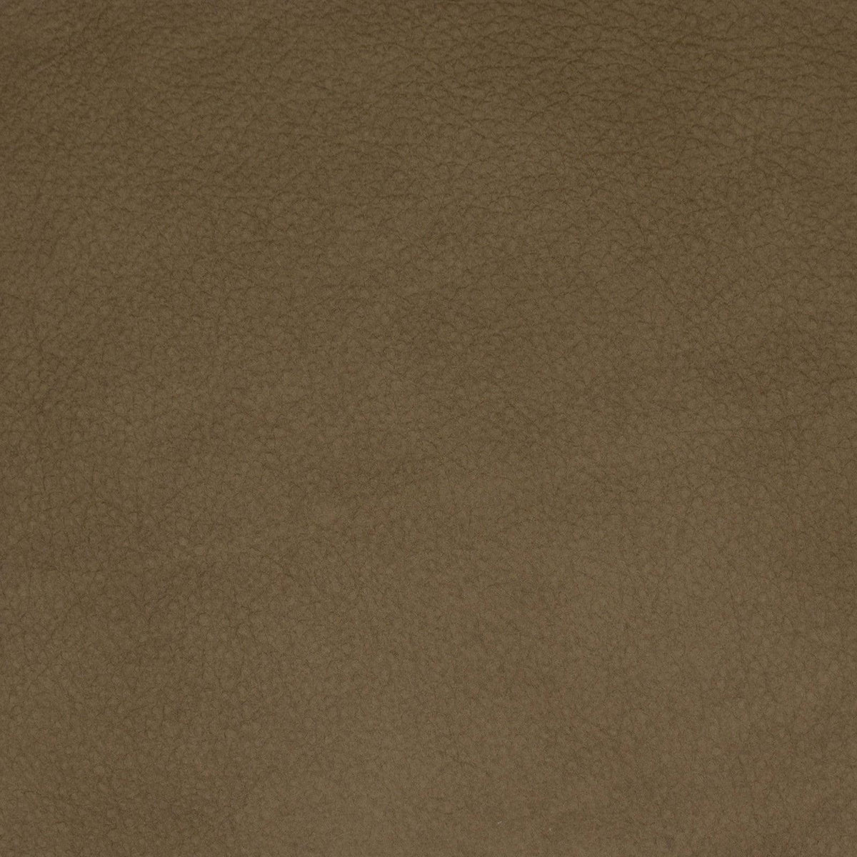 F2042 - Atlanta Fabrics