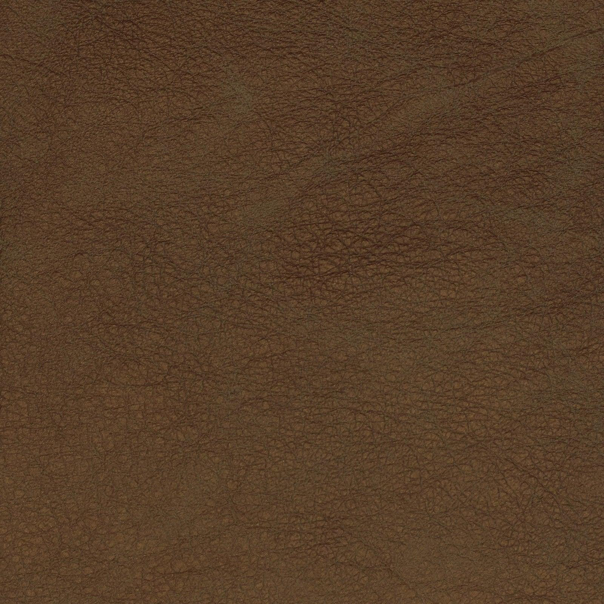 F2049 - Atlanta Fabrics