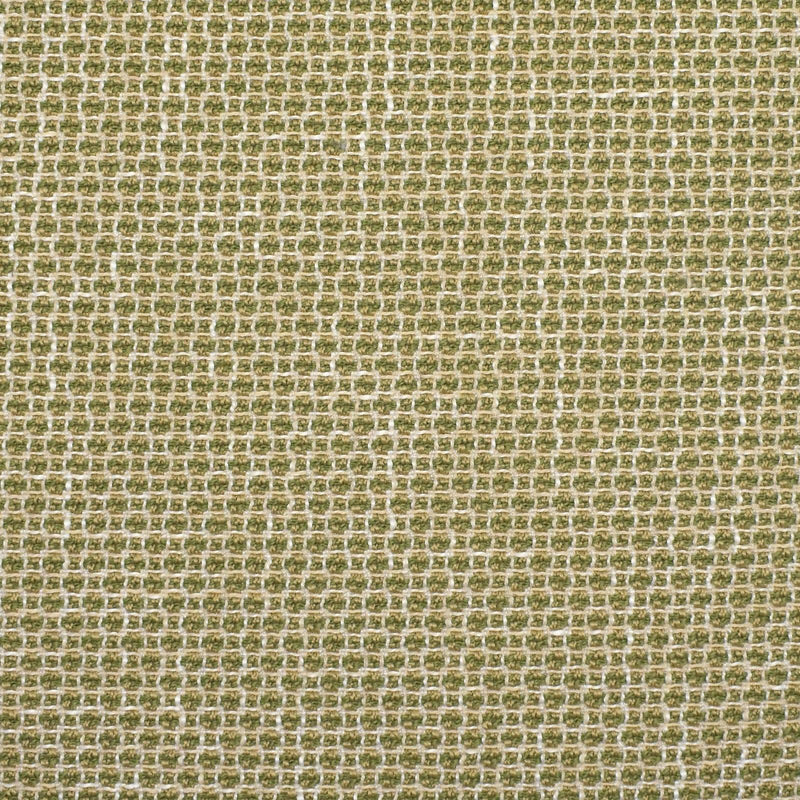 Greenhouse F2353 Fabric | Atlanta Fabrics