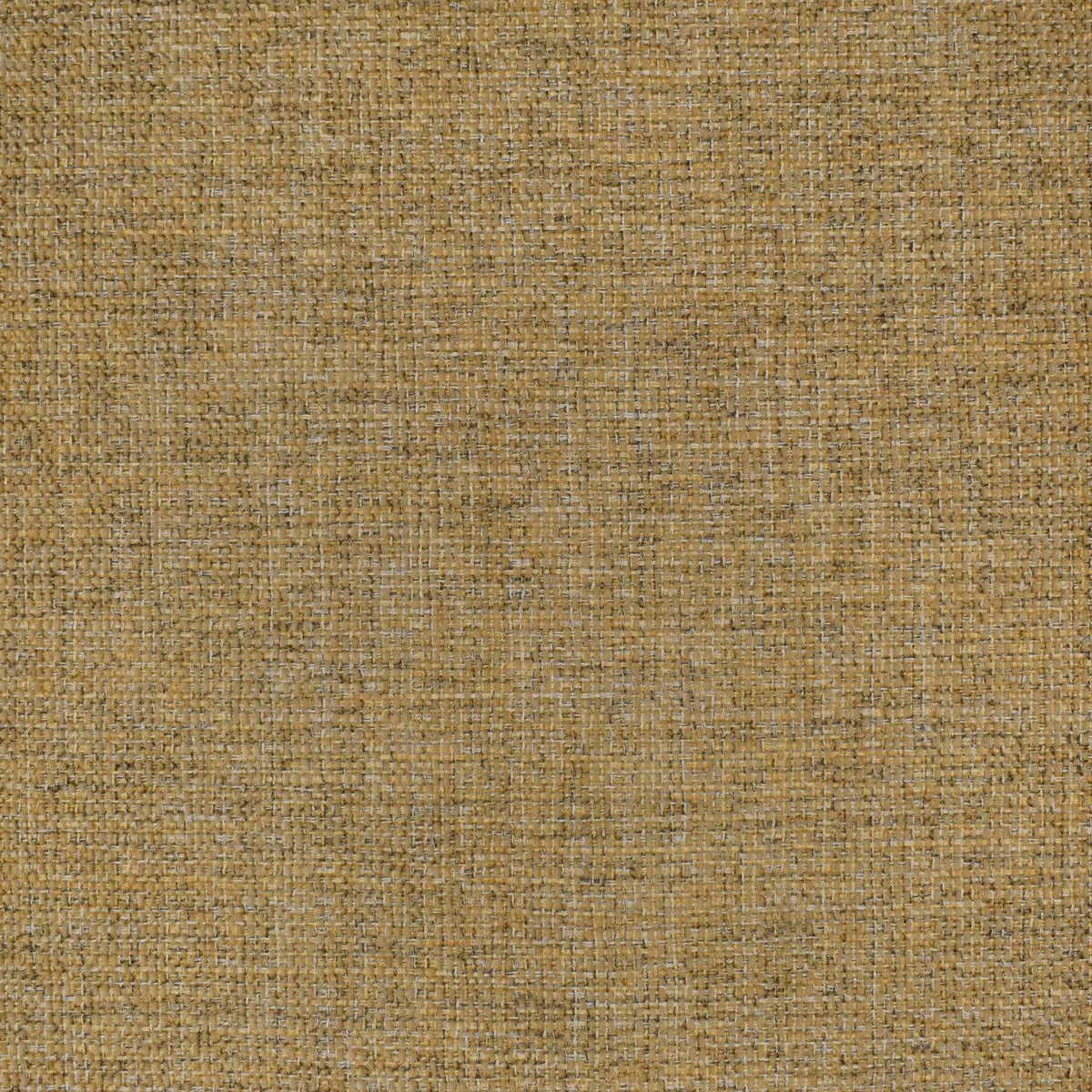 F3165 - Atlanta Fabrics