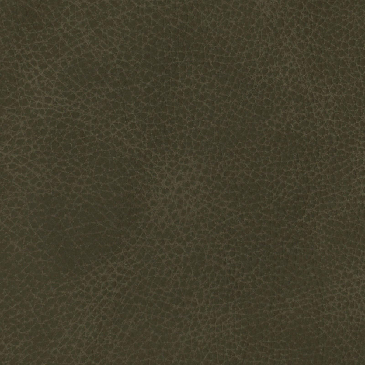 F3835 - Atlanta Fabrics