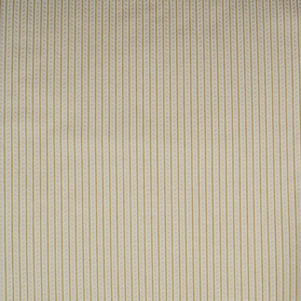 Gone Too Long S3911 Goldenrod - Atlanta Fabrics