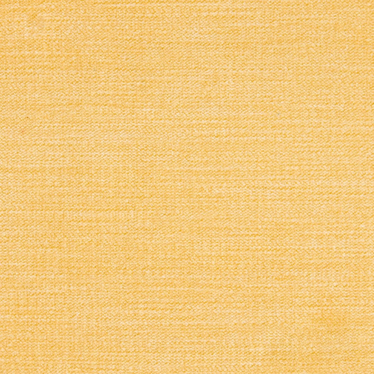 Haley Velvet B1270 Yellow - Atlanta Fabrics