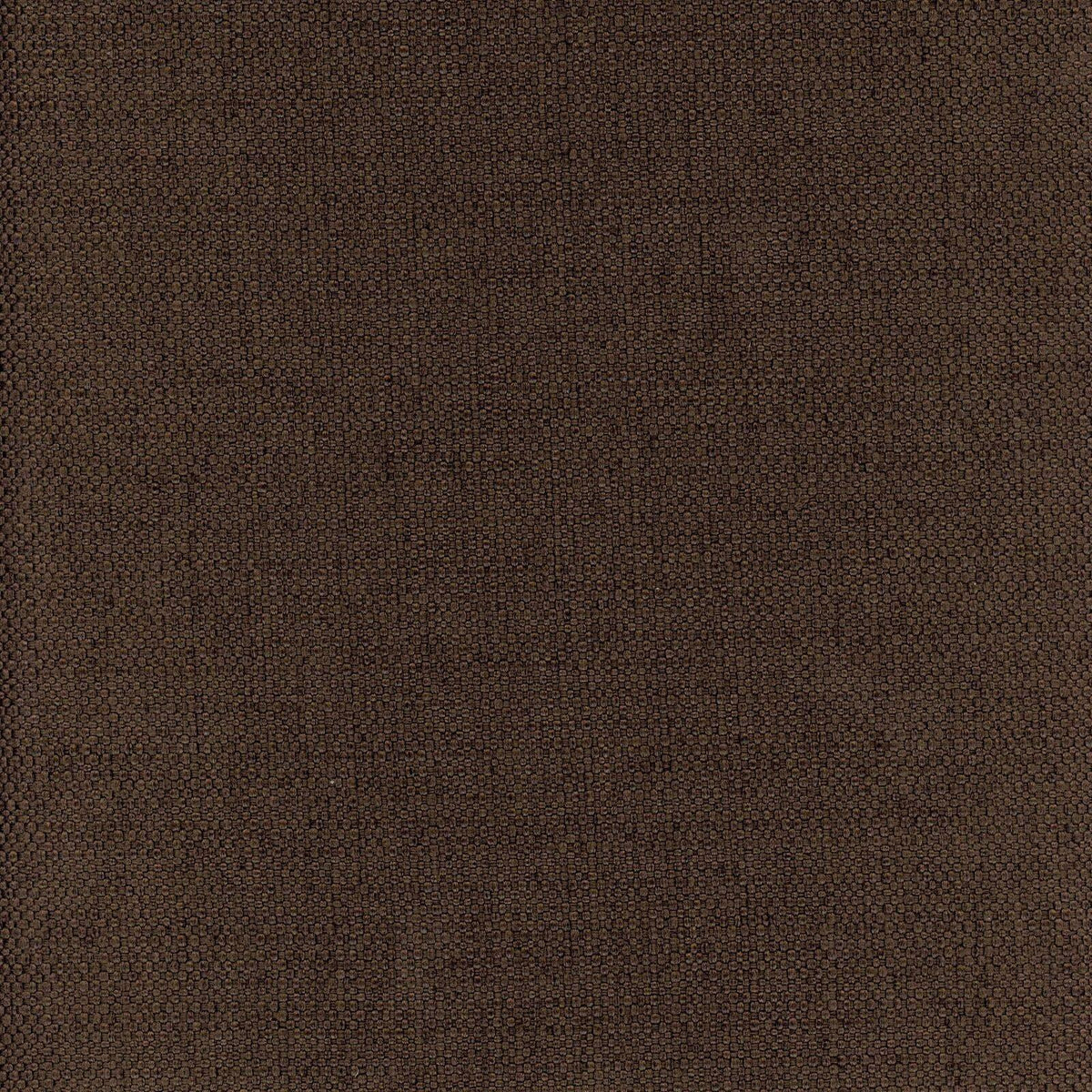 Newton-Chocolate - Atlanta Fabrics