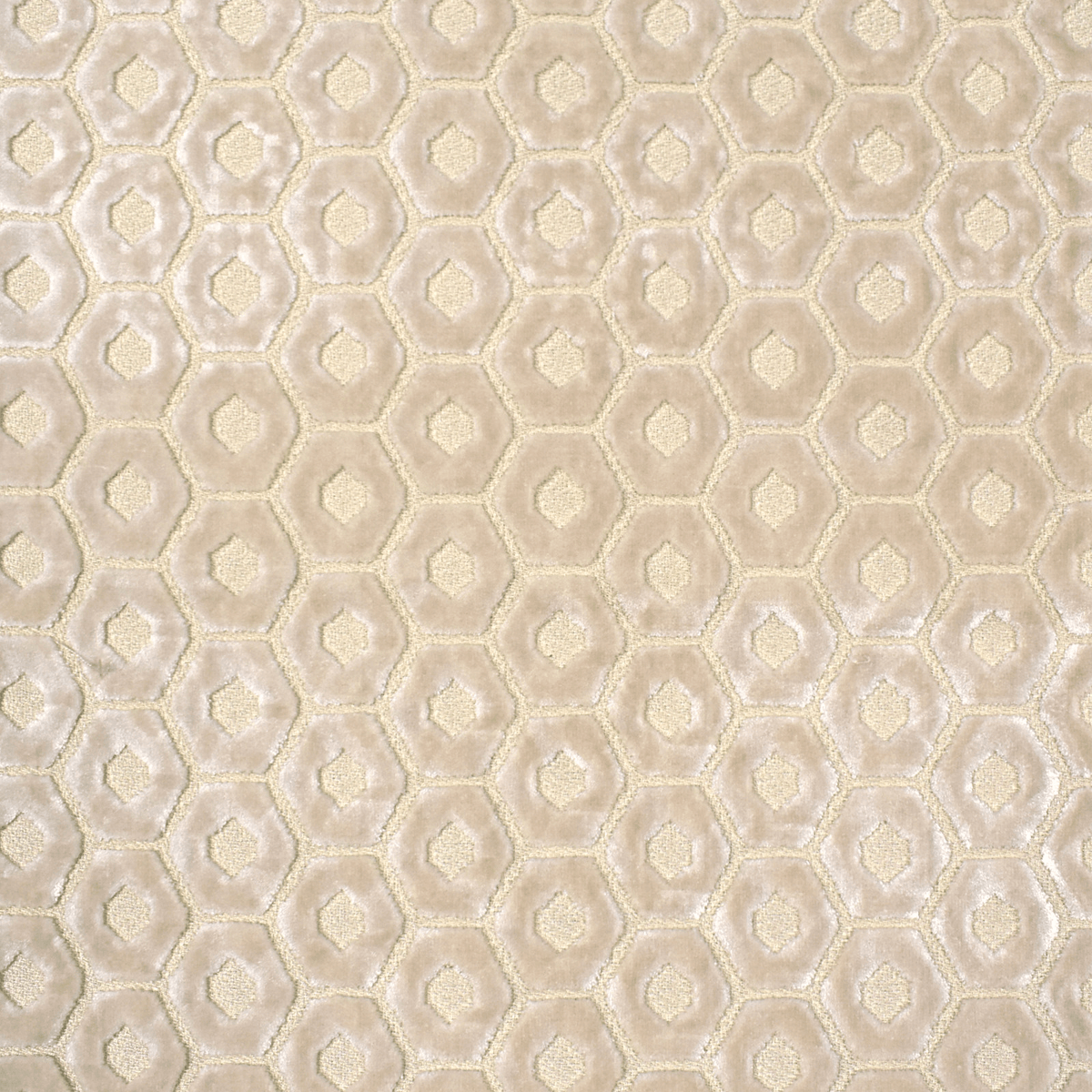 Nuts F2136 Champagne - Atlanta Fabrics