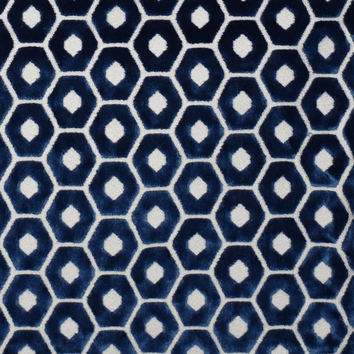 Nuts F2306 Midnight - Atlanta Fabrics