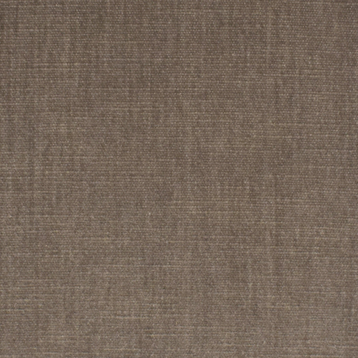 Performance Chenille S3871 Birch - Atlanta Fabrics