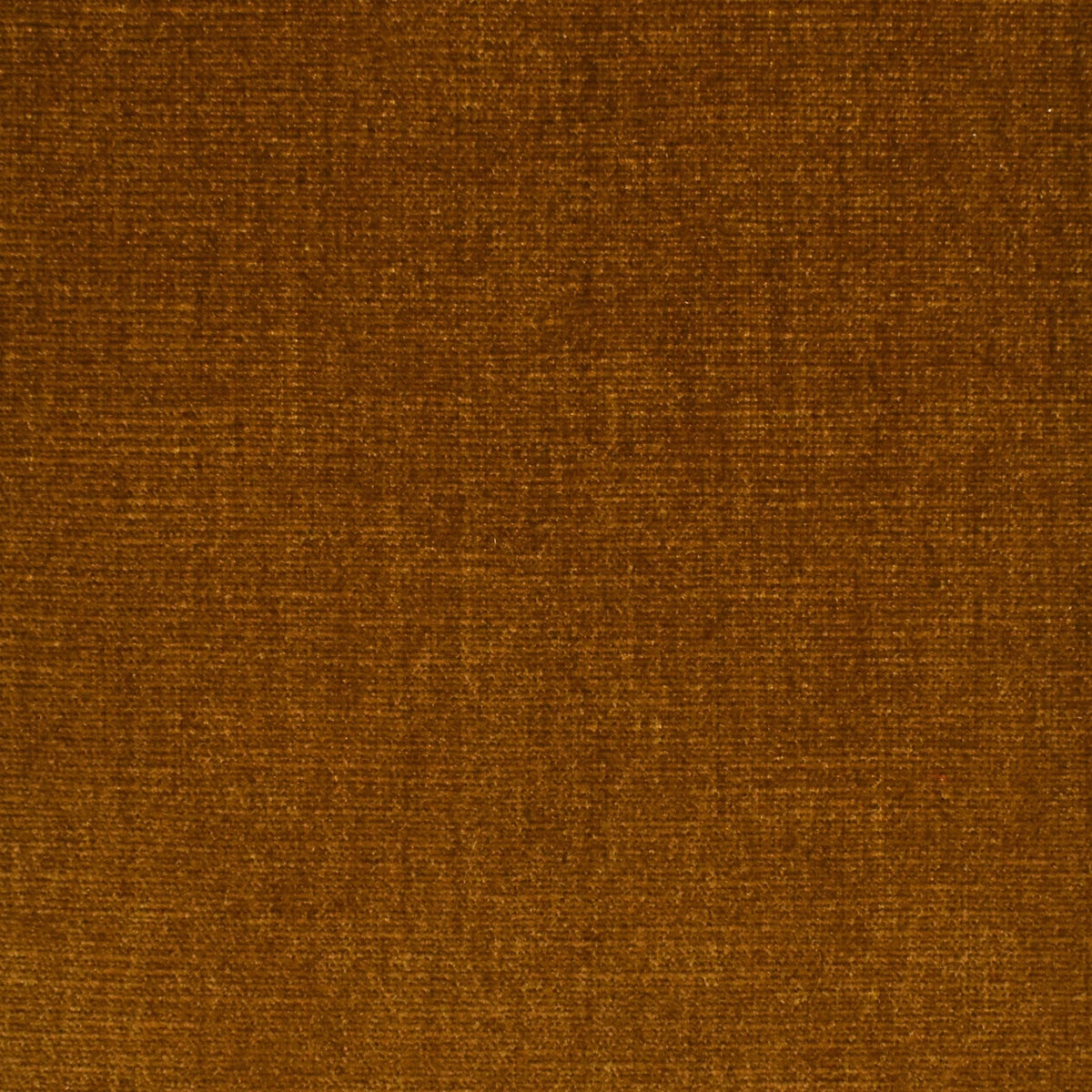 Performance Chenille S3935 Honey - Atlanta Fabrics