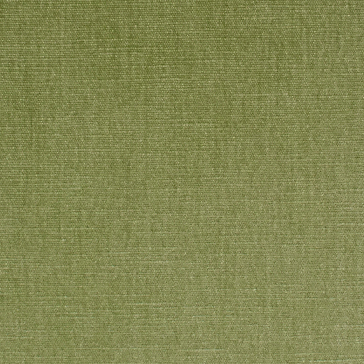 Performance Chenille S3952 Aloe - Atlanta Fabrics