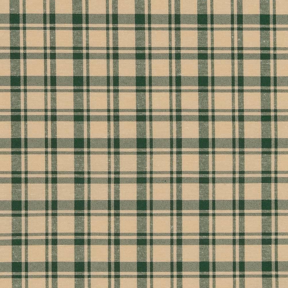 Charlotte Fabrics Picnic D2390 Juniper Fabric | Atlanta Fabrics