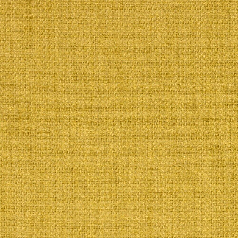 RAVE-LEMON - Atlanta Fabrics