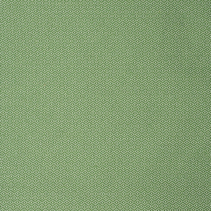 Anna Elisabeth S2251 Green Fabric | Atlanta Fabrics
