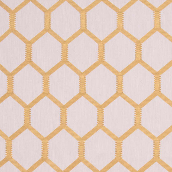 Carole Shock Value Coin Fabric | Atlanta Fabrics