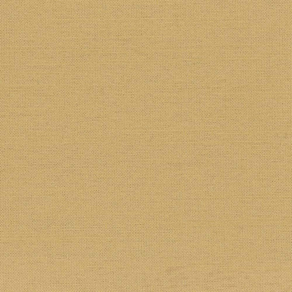 Carole Succulent Latte Fabric | Atlanta Fabrics
