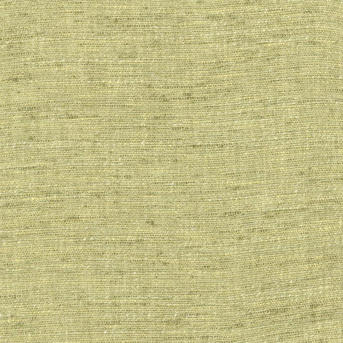 Carole Training Day Fern Fabric | Atlanta Fabrics